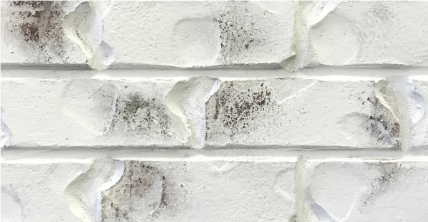 A Guide To Choosing Exterior Textured Paint - ROMABIO