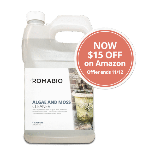moss and algae remover